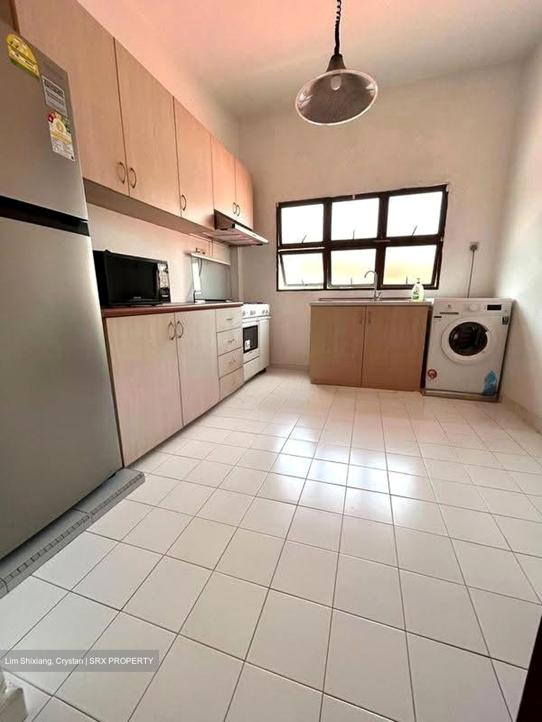 Tanglin Road (D10), Apartment #609640341